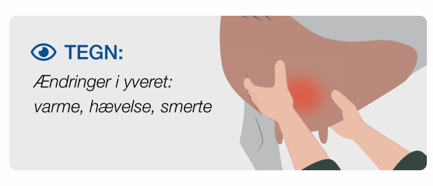 Clinical signs of mastitis involving cows in pain